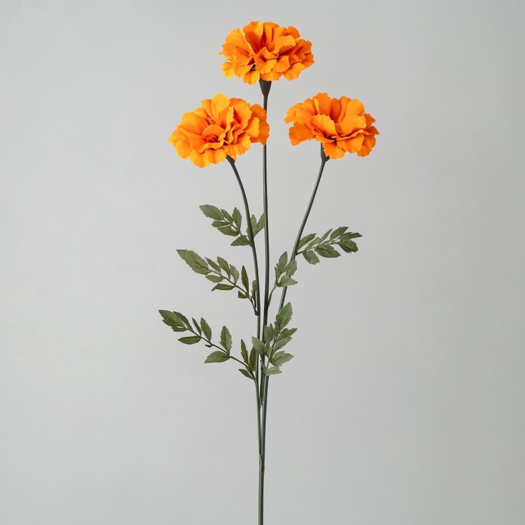 orange-flowers